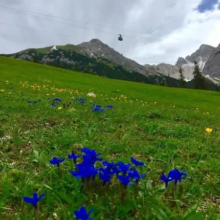 Relax Seefeld Appartamento *