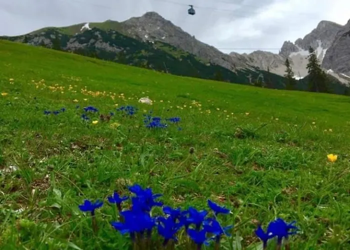 Relax Seefeld Appartement *